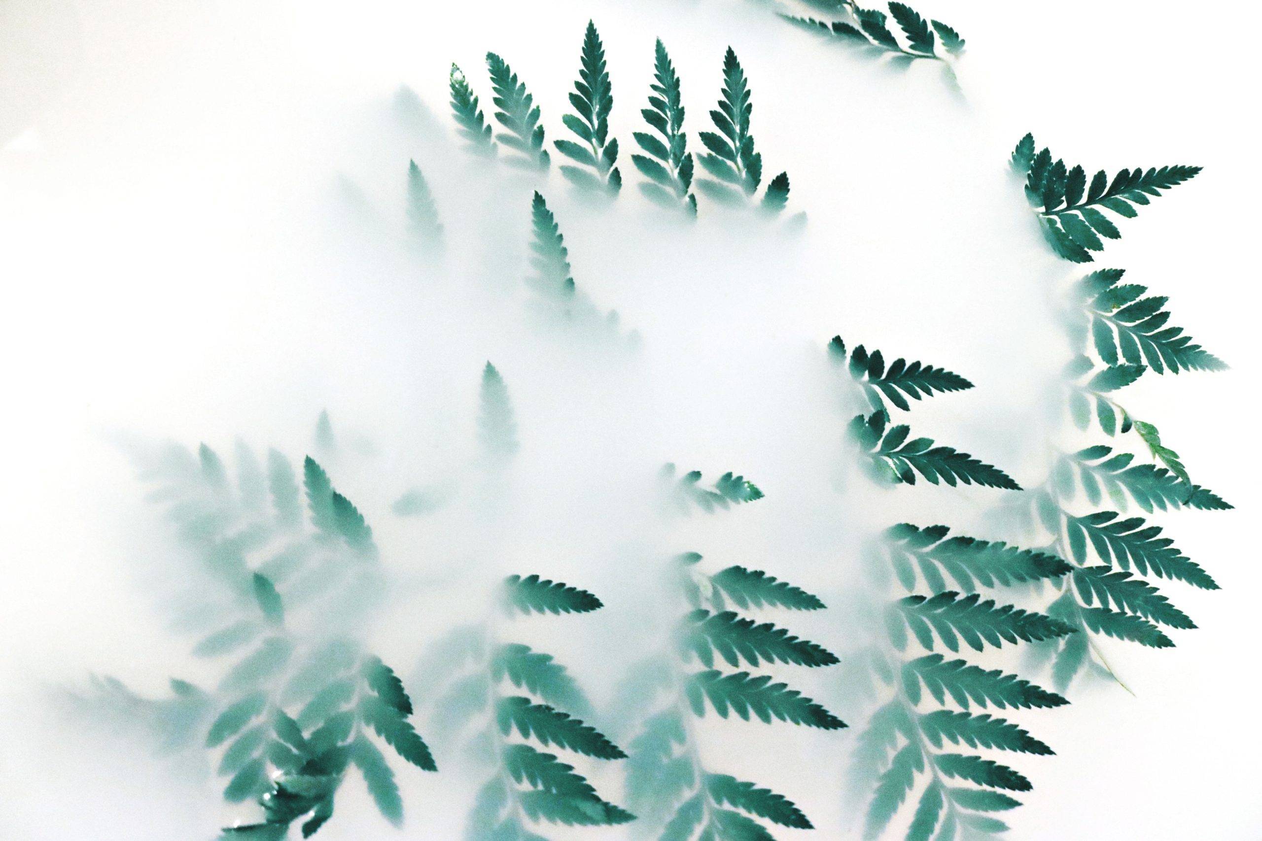 Shop Nordica Design http://nordicadesign.com/products/