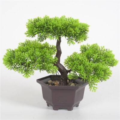 Artificial plant bonsai Departments