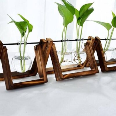 Glass Tabletop Plant Departments 