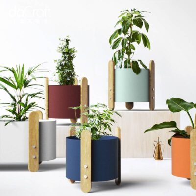Plant potted ornaments Departments 